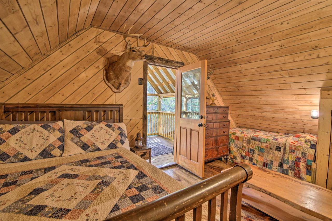 Sautee Nacoochee 5-Acre North Georgia Mountain Retreat With Creek!ヴィラ エクステリア 写真