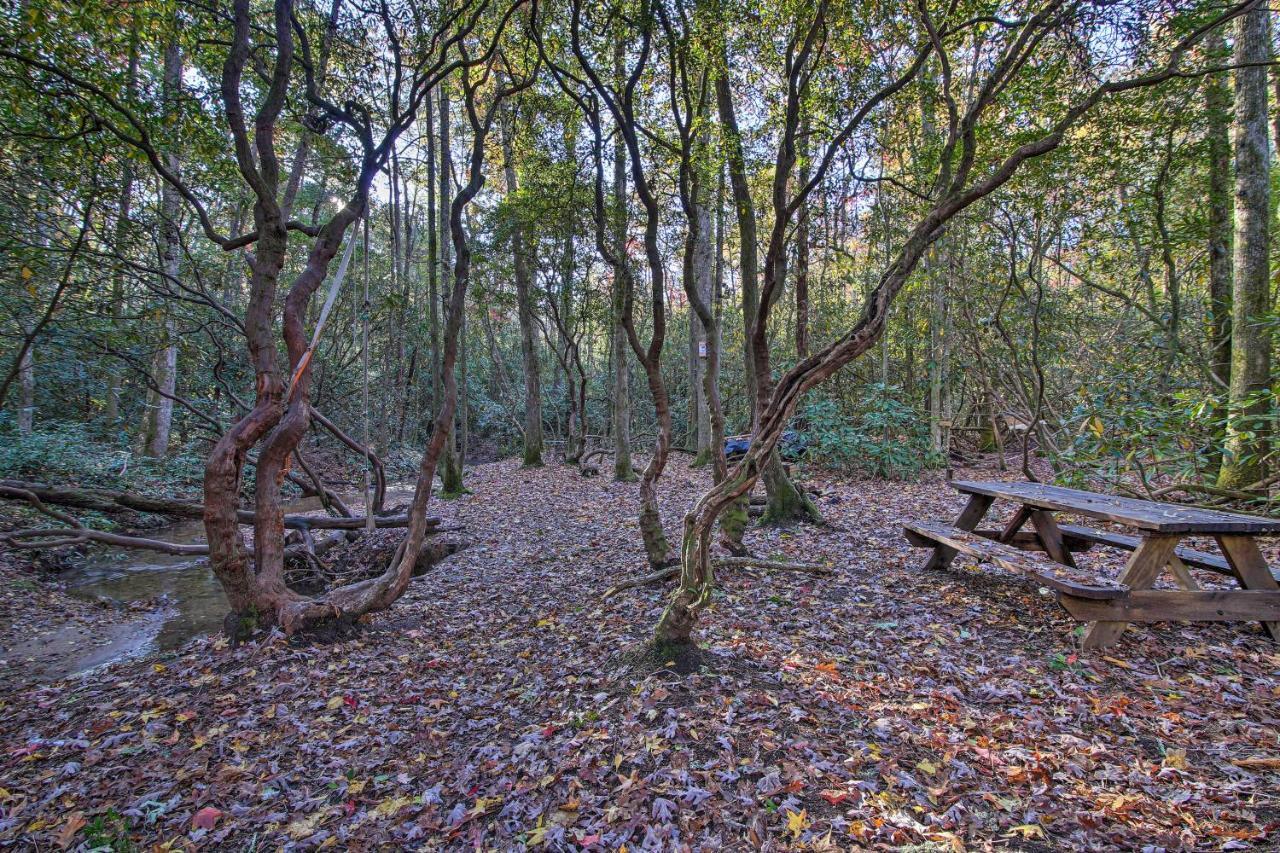 Sautee Nacoochee 5-Acre North Georgia Mountain Retreat With Creek!ヴィラ エクステリア 写真